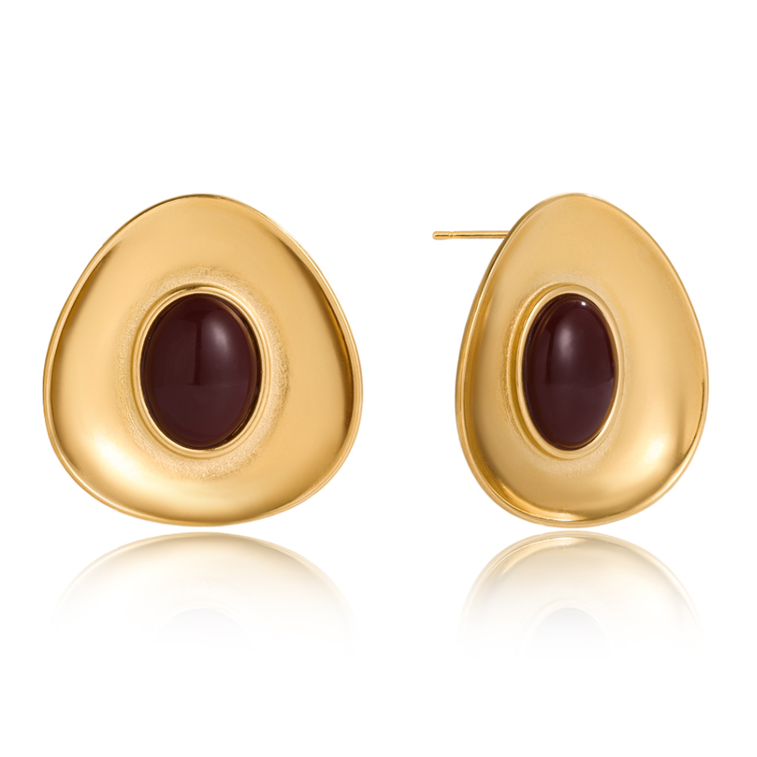 Brown Earrings