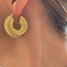 Load image into Gallery viewer, Andreina Chunky Hoops
